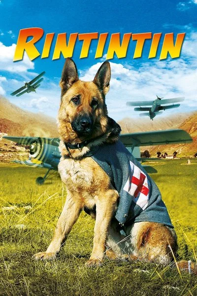 Affiche Rintintin