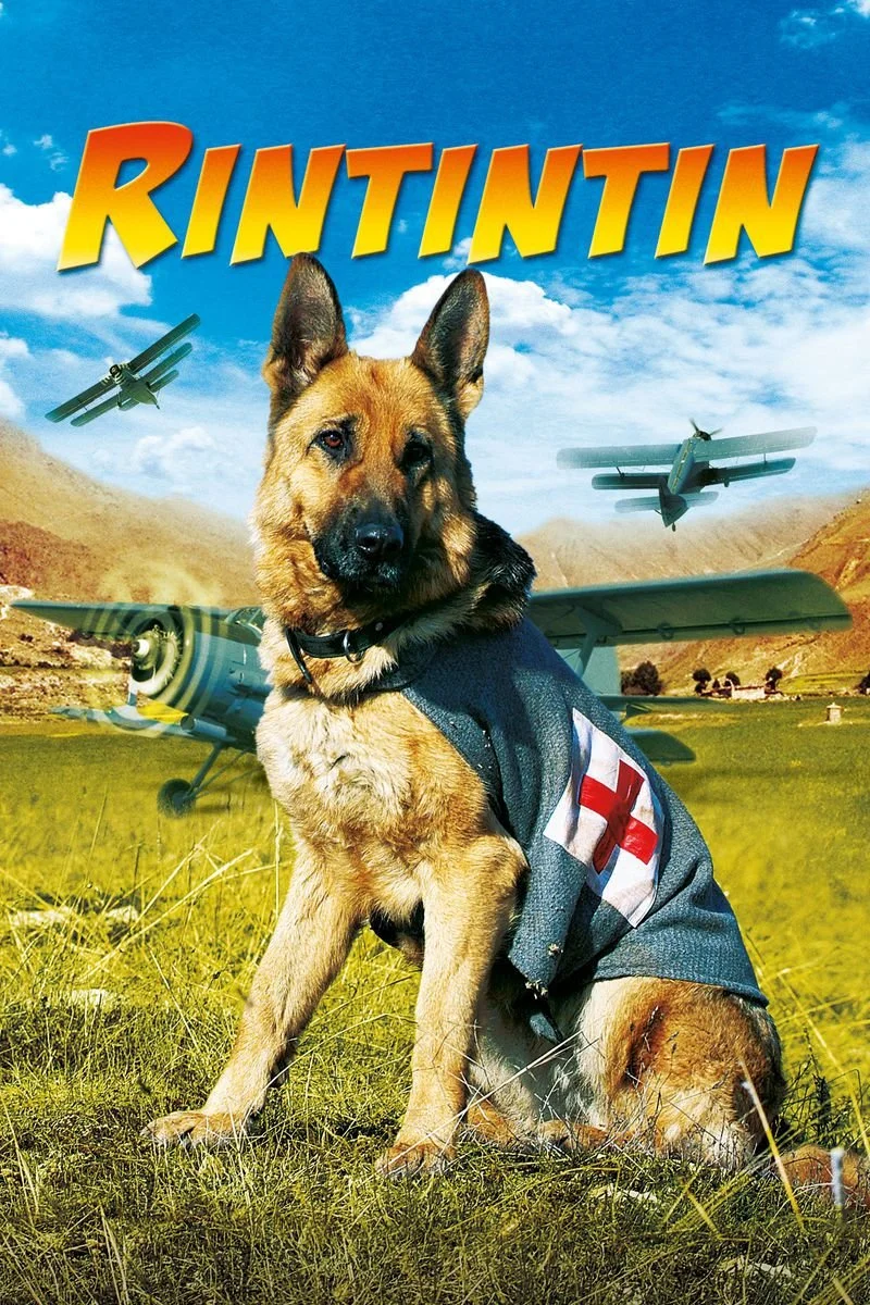 Poster van Rintintin