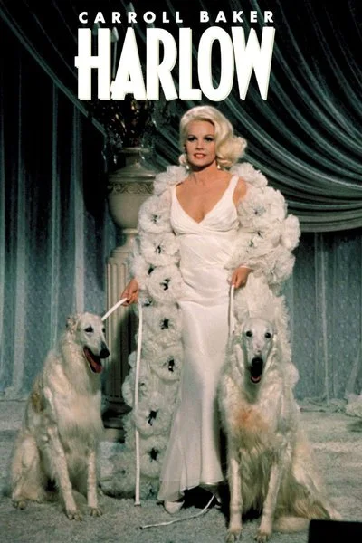 Affiche Harlow