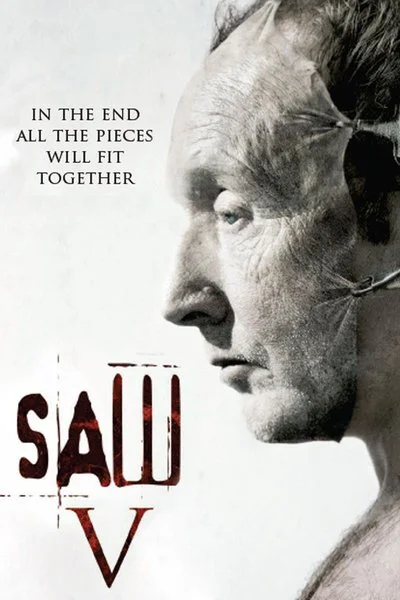 Poster Saw V