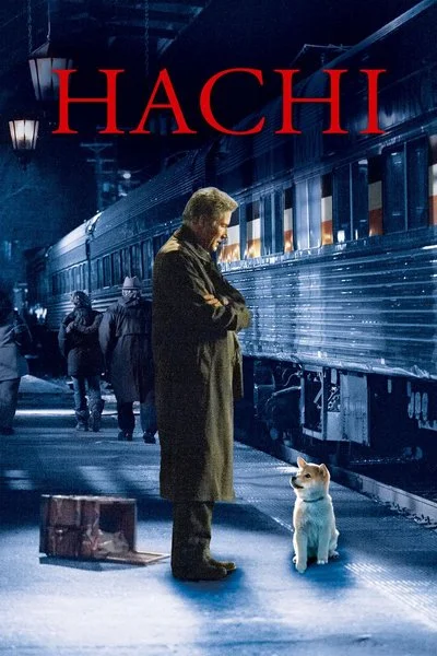 Affiche Hatchi