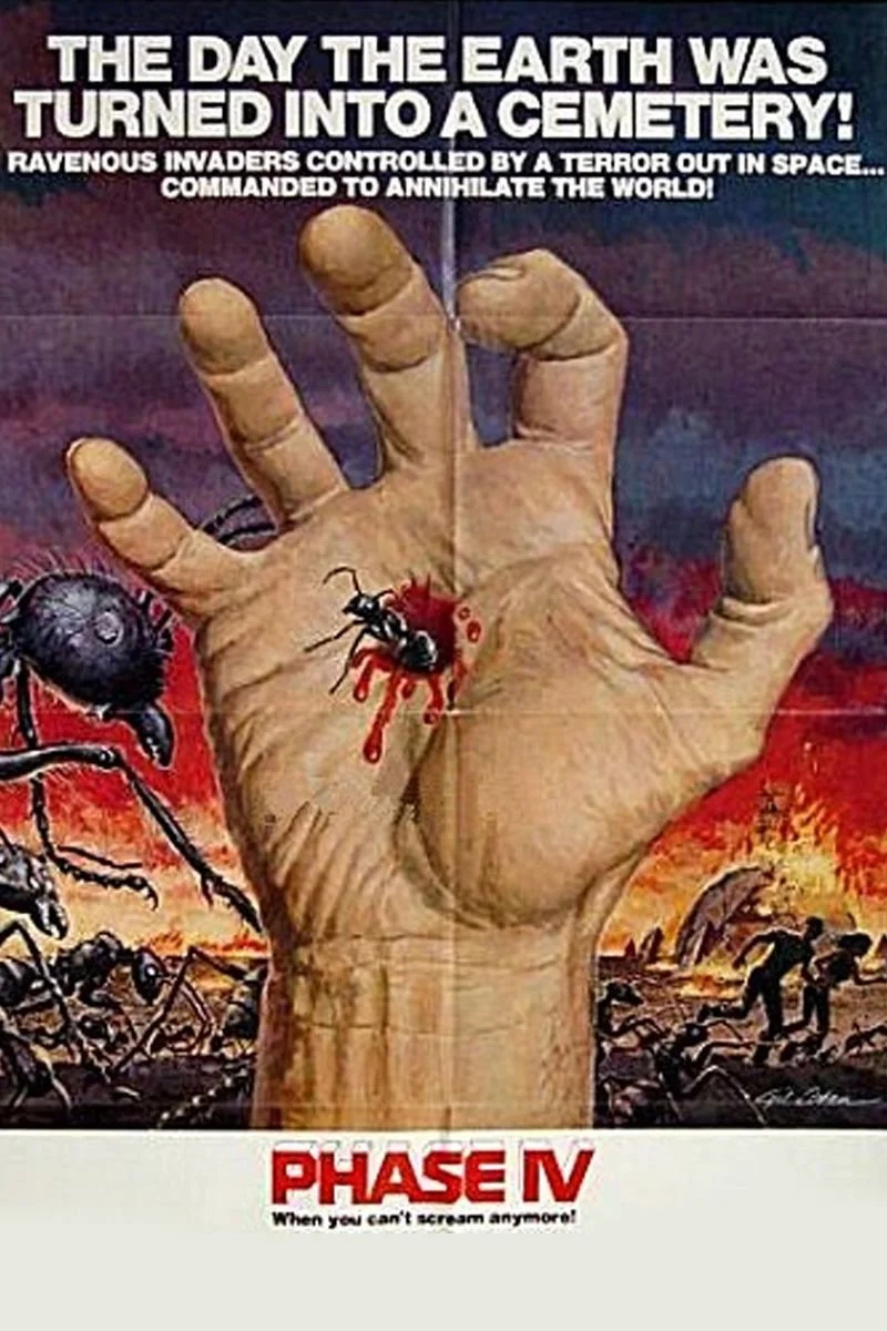 Affiche de Phase IV