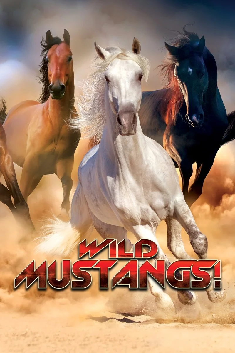Poster van Wild Mustangs!
