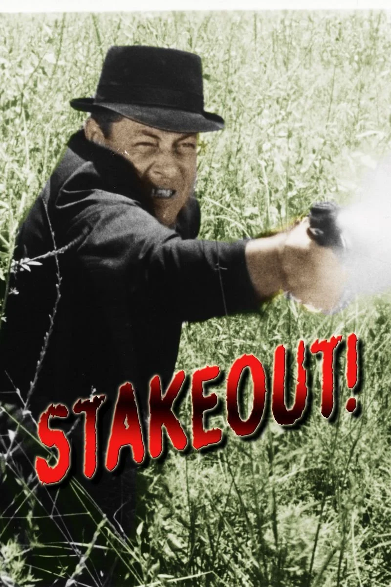 Poster van Stakeout