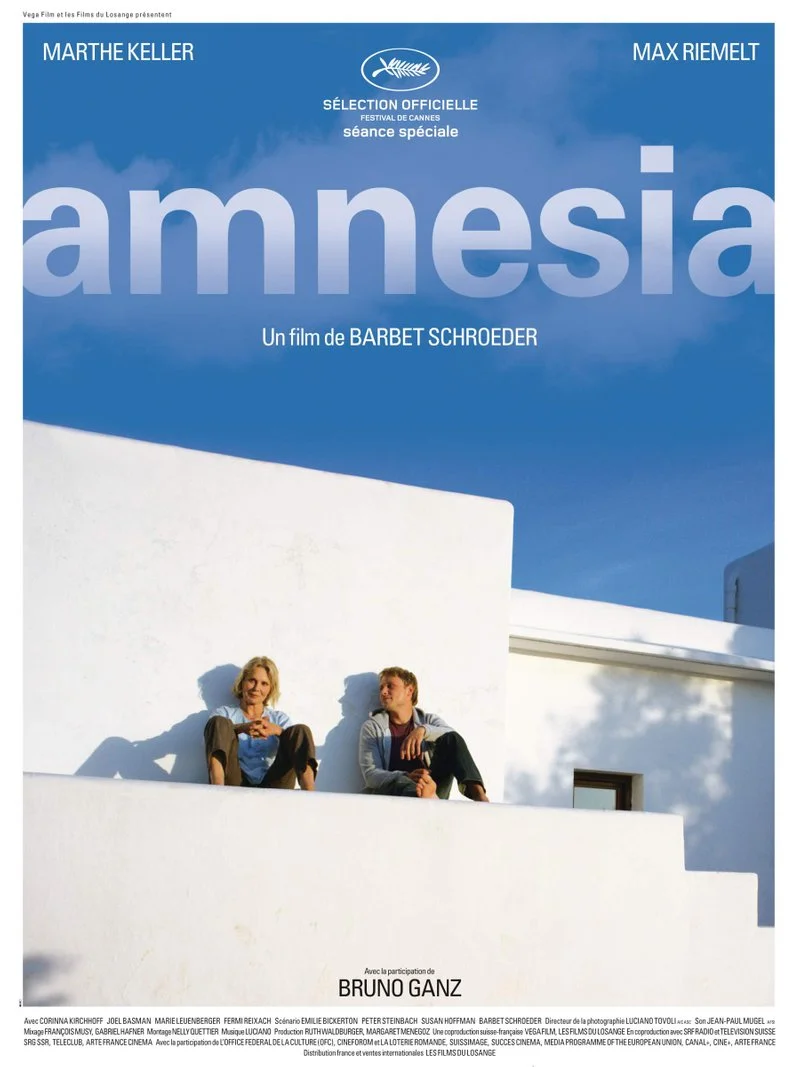 Affiche de Amnesia