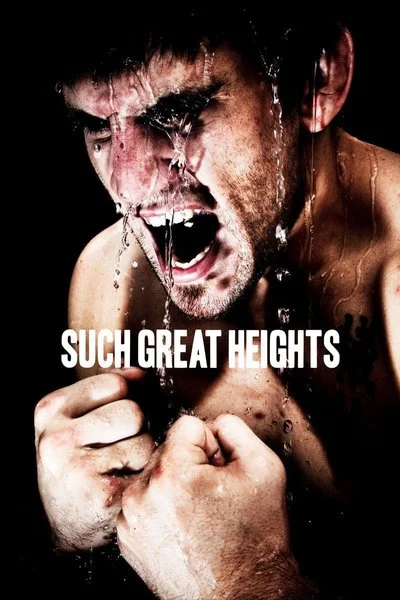 Affiche Such Great Heights