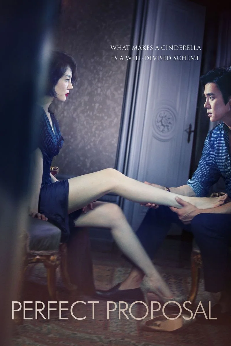Poster van Perfect Proposal