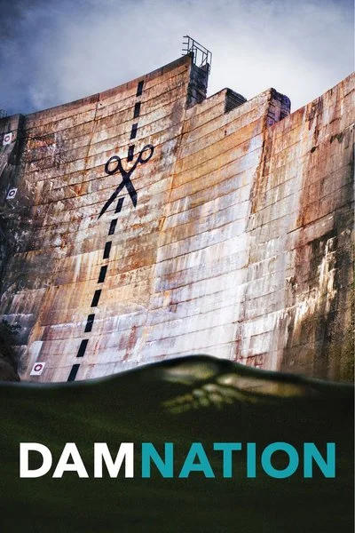 Affiche DamNation