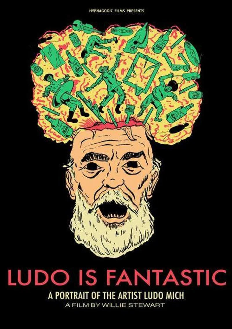 Affiche de Ludo Is Fantastic