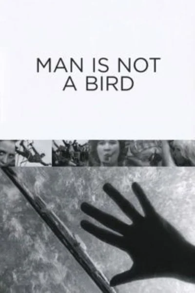 Affiche Man is Not a Bird