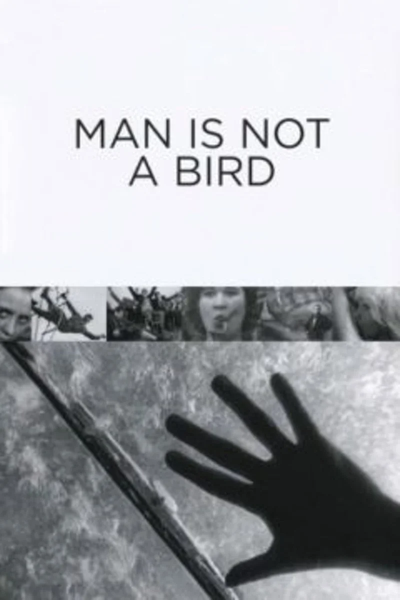 Affiche de Man is Not a Bird