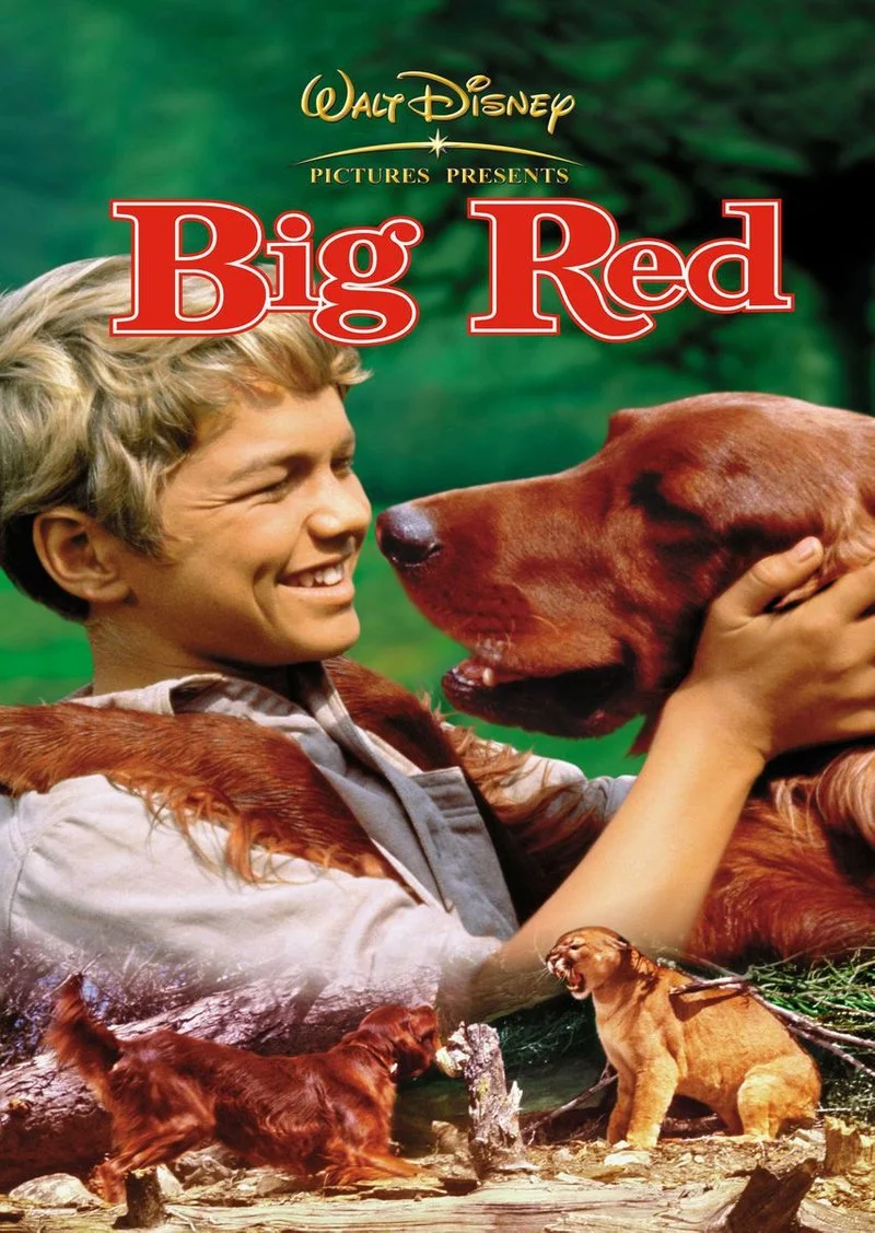 Poster van Big Red