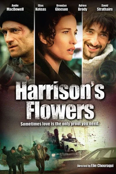 Affiche Harrison's Flowers