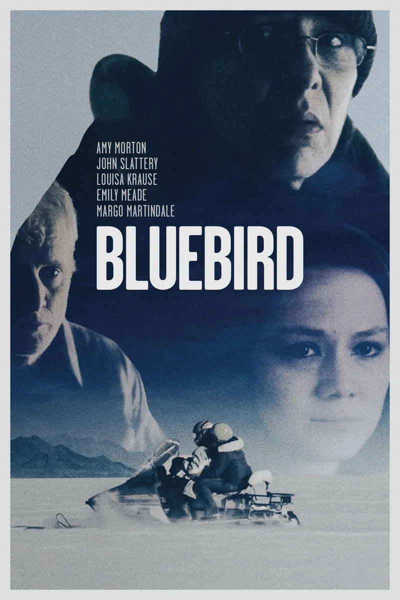 Poster van Bluebird