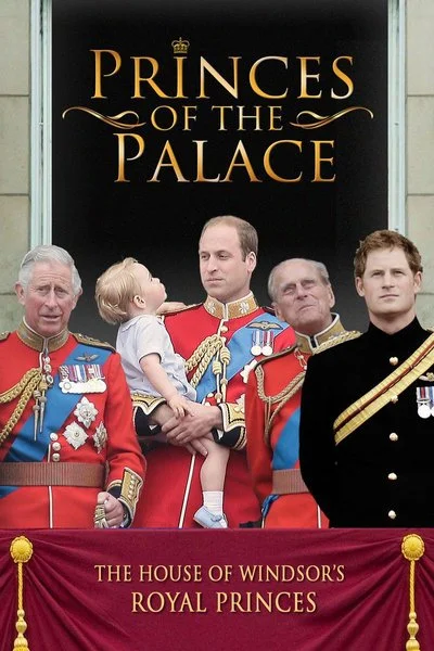 Affiche Vies de princes