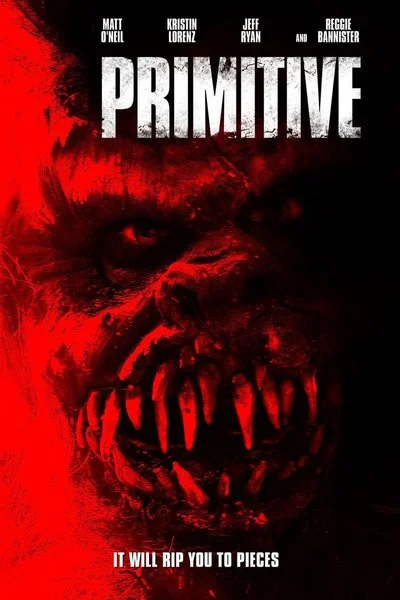 Affiche Primitive