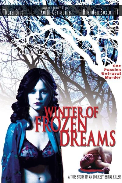 Poster Winter of Frozen Dreams