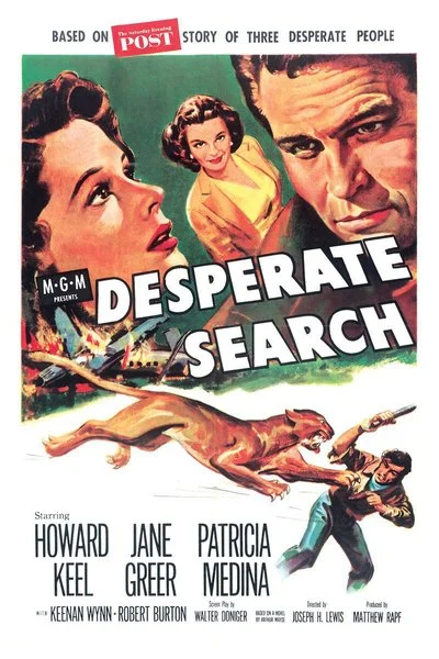 Affiche Desperate Search