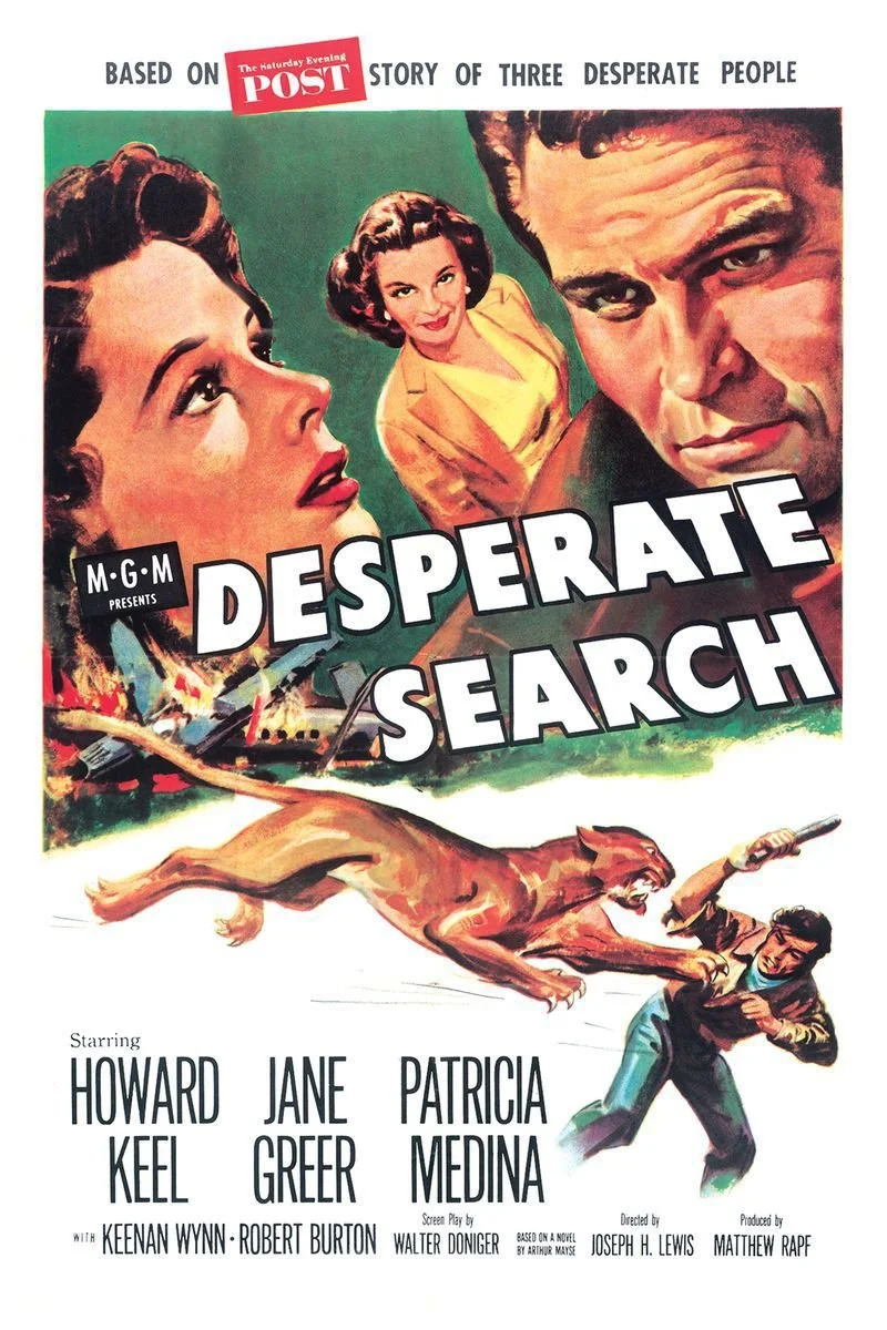 Poster van Desperate Search