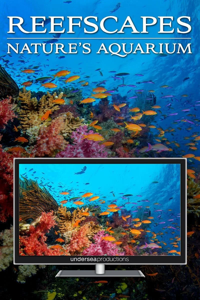 Affiche de Reefscapes: Nature's Aquarium