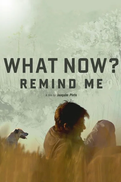 Affiche What Now? Remind Me