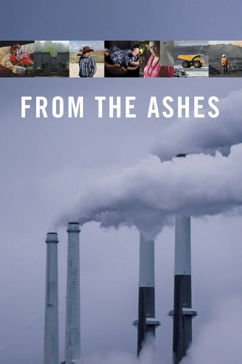 Affiche de From the Ashes