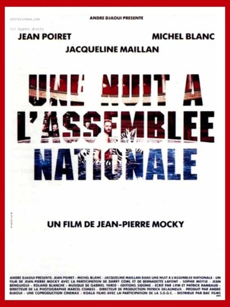 Affiche de Une nuit à l'Assemblée Nationale