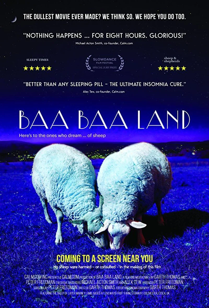 Affiche de Baa Baa Land