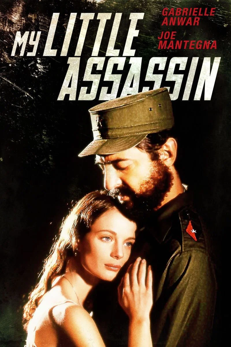 Affiche de My Little Assassin