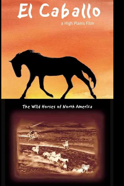 Poster Caballo: Wild Horses of North America