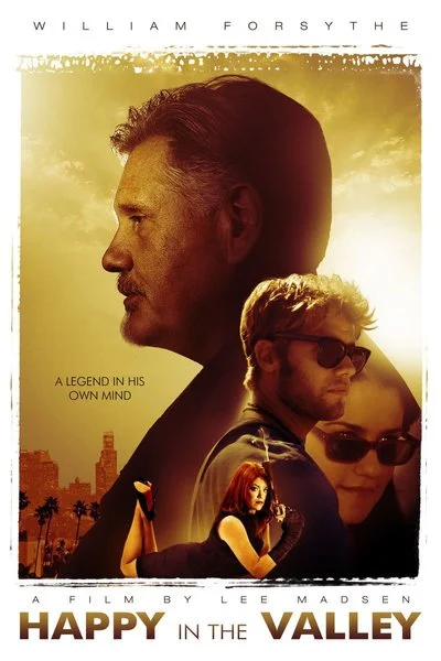 Affiche Happy In the Valley