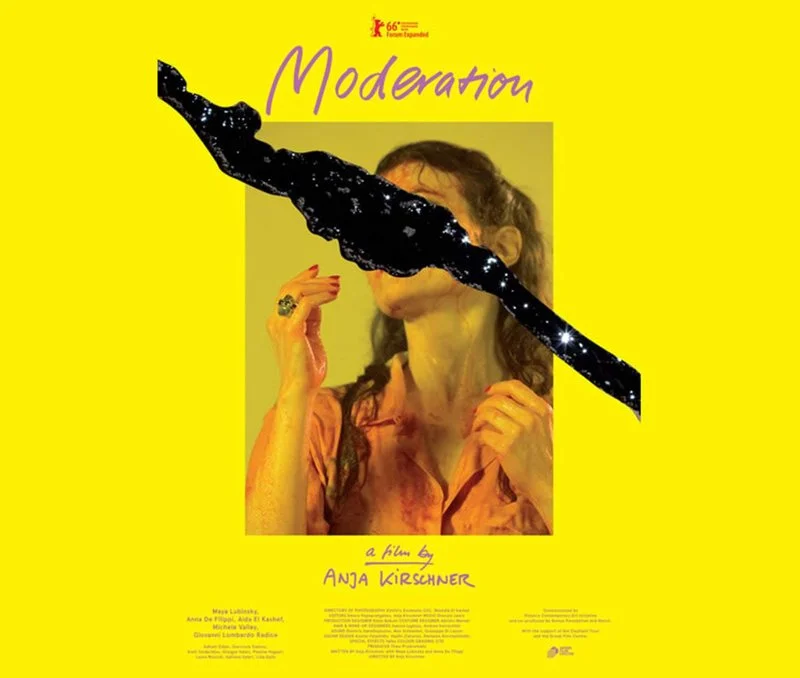 Affiche de Moderation
