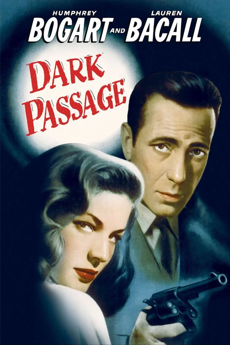 Affiche de Dark Passage