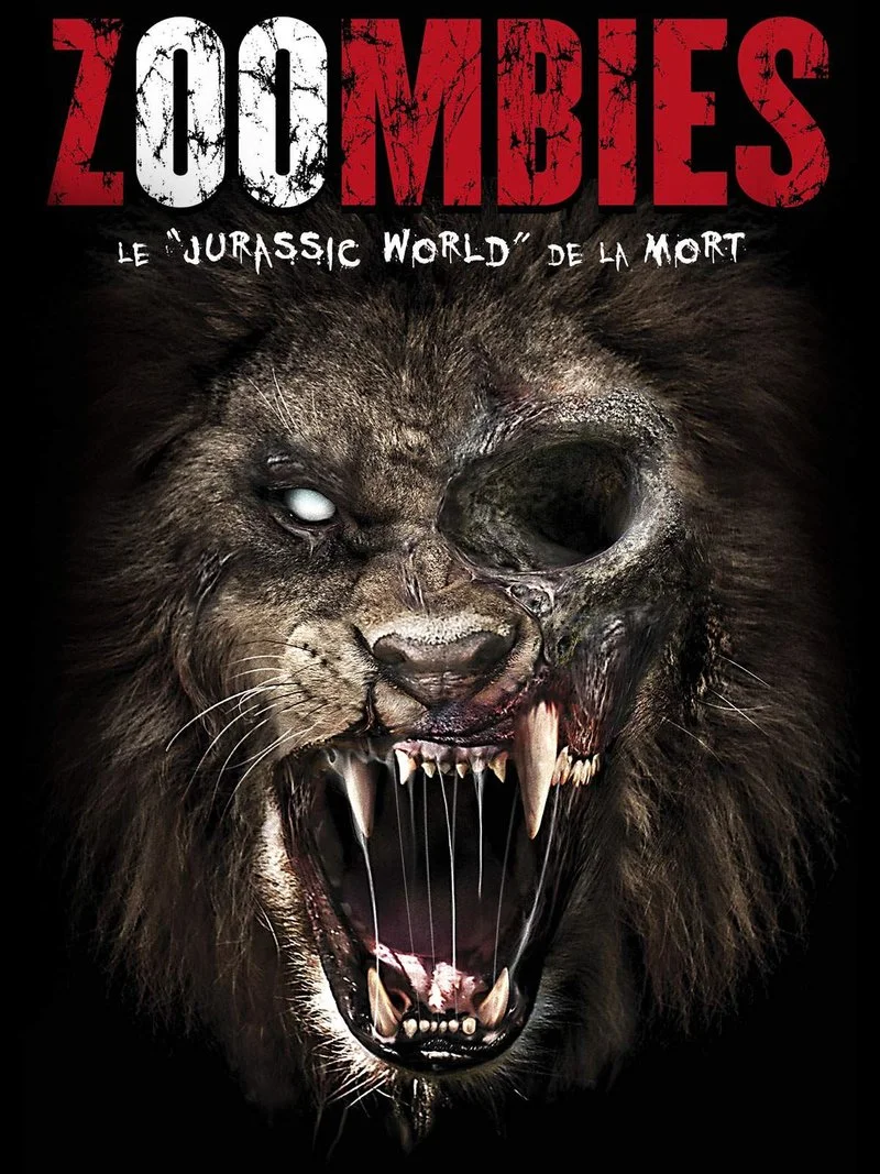 Affiche de Zoombies