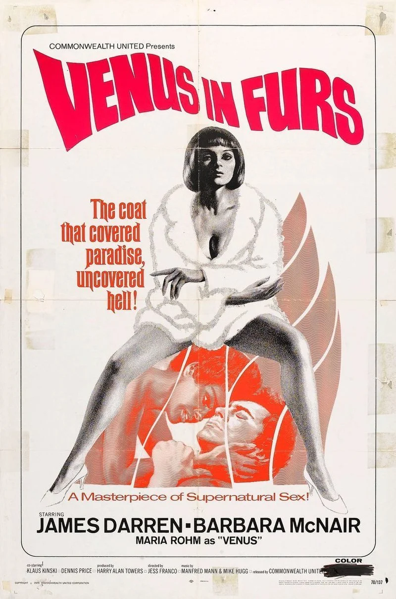 Affiche de Venus in Furs