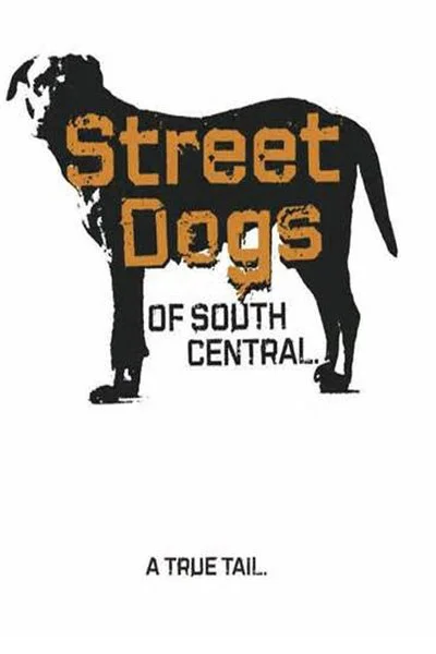 Poster Street Dogs of South Central