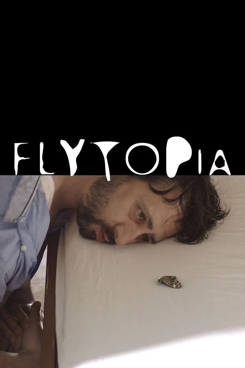 Poster van Flytopia