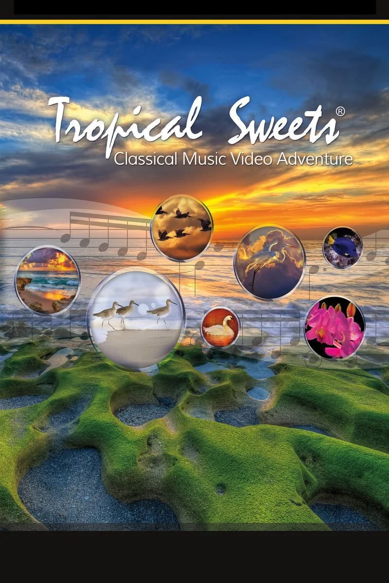 Affiche de Tropical Sweets: Classical Music Video Adventure