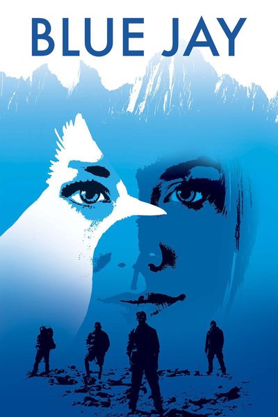 Poster Blue Jay