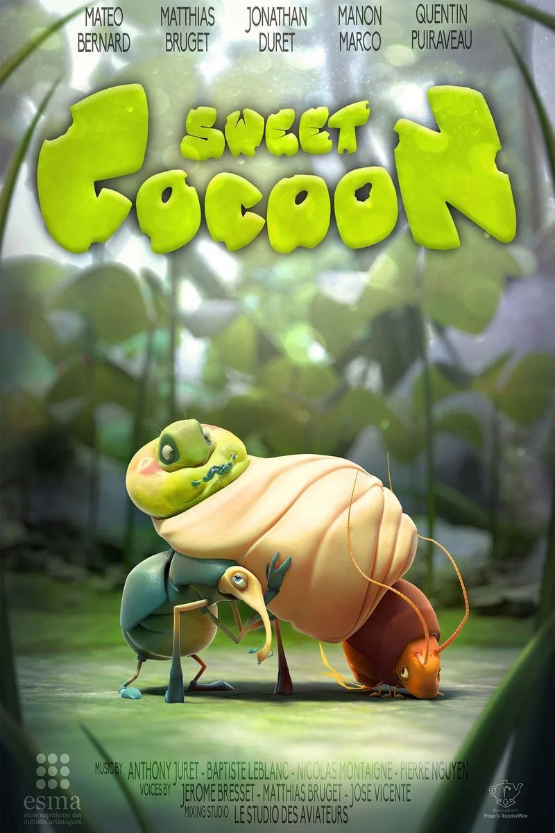 Affiche de Sweet Cocoon