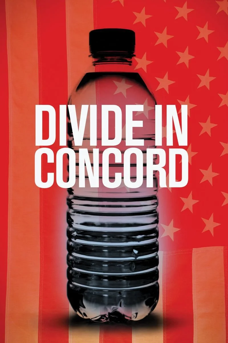 Poster van Divide in Concord