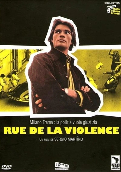 Affiche The Violent Professionals