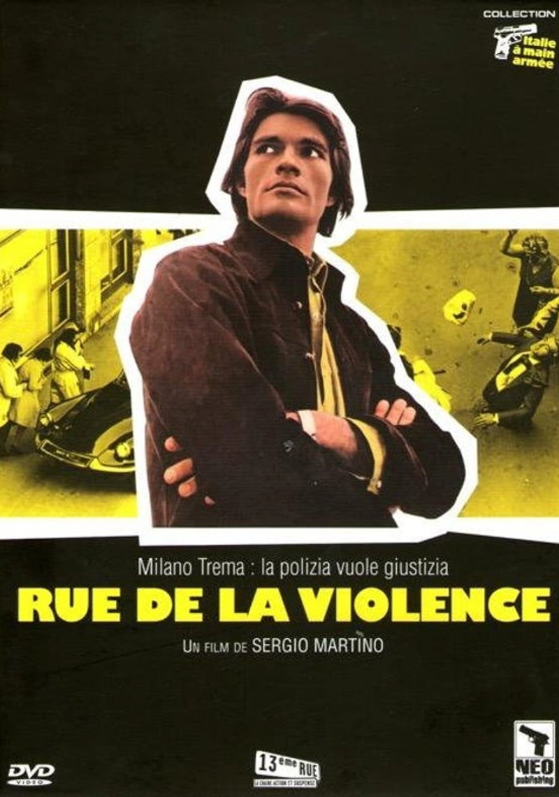 Affiche de The Violent Professionals