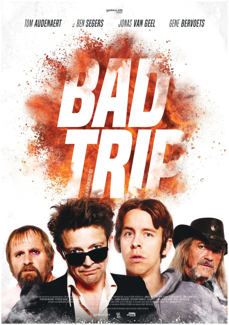 Affiche de Bad Trip