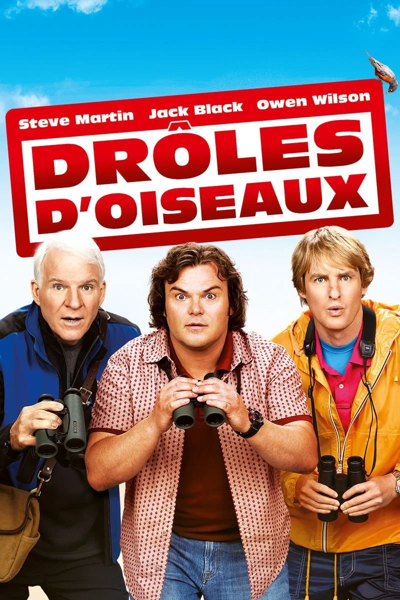 Affiche de Droles d’oiseaux
