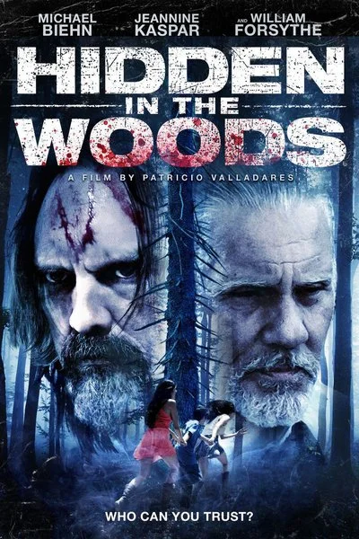 Affiche Hidden In the Woods