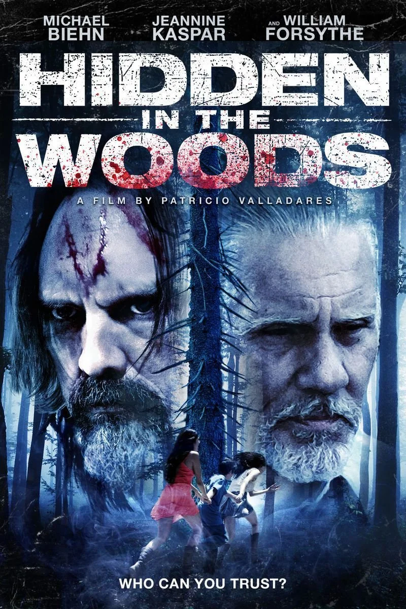 Poster van Hidden In the Woods