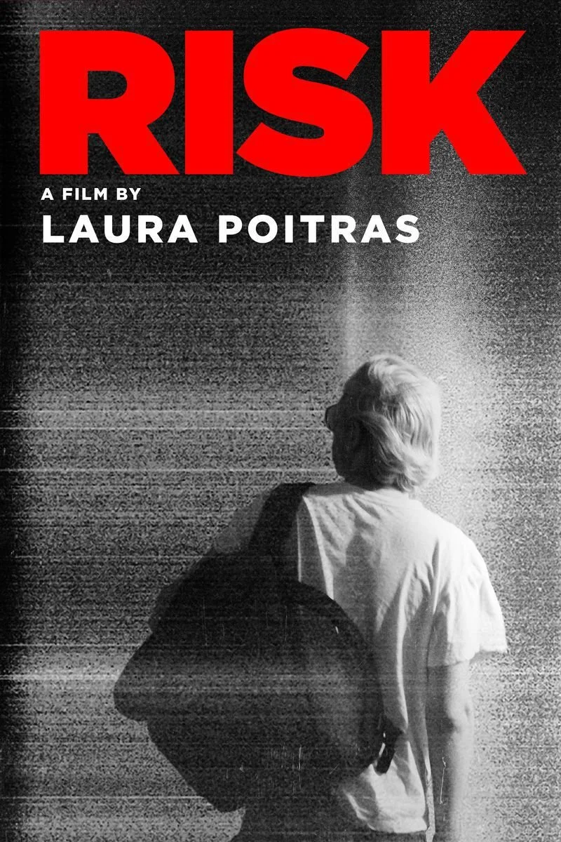 Poster van Risk