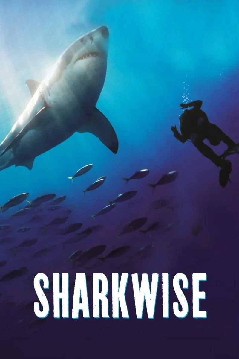 Affiche de Sharkwise