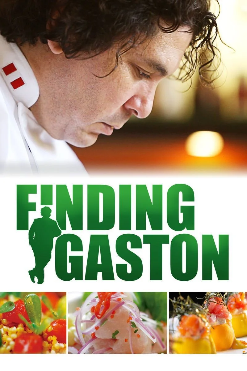 Affiche de Finding Gaston